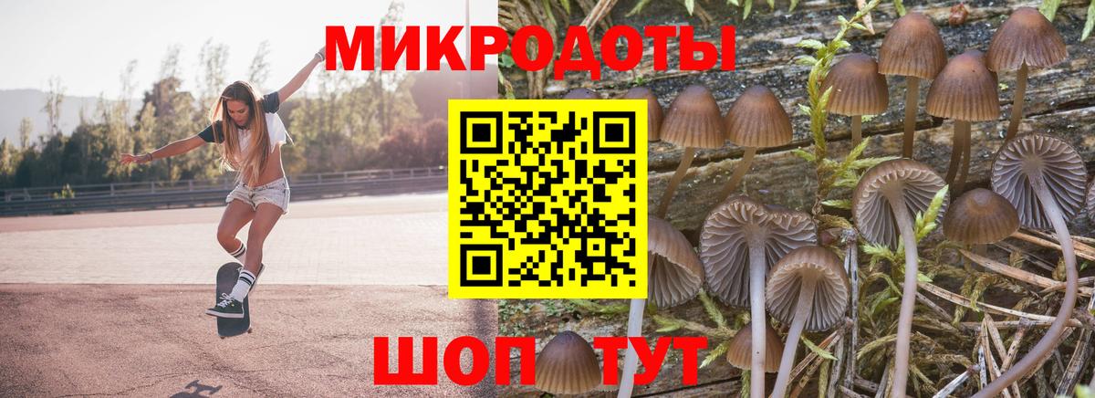 Псилоцибиновые грибы GOLDEN TEACHER  закладки  Рузаевка  Вход с VPN 